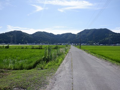 zOӉw摜