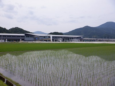 zOӉw摜