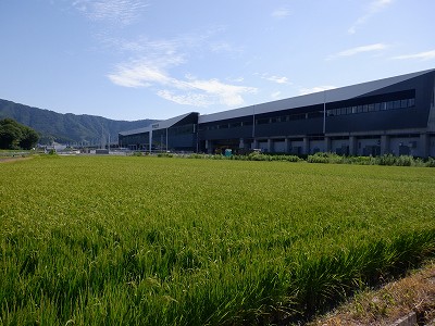 zOӉw摜