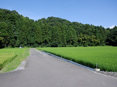 zOӉw摜