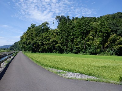 zOӉw摜