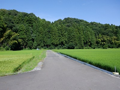 zOӉw摜