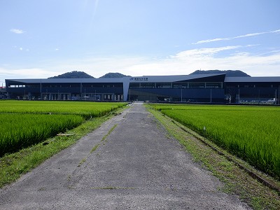 zOӉw摜