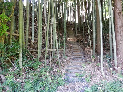 zOӉw摜