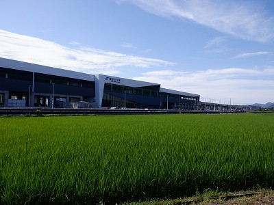 zOӉw摜