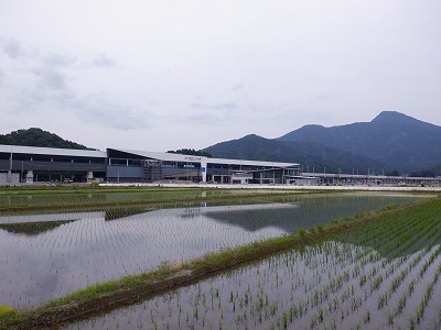 zOӉw摜