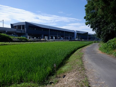 zOӉw摜