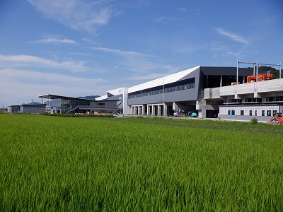 zOӉw摜