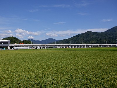 zOӉw摜