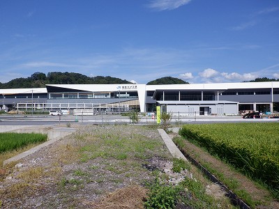 zOӉw摜