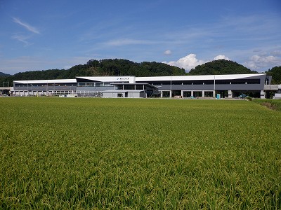 zOӉw摜