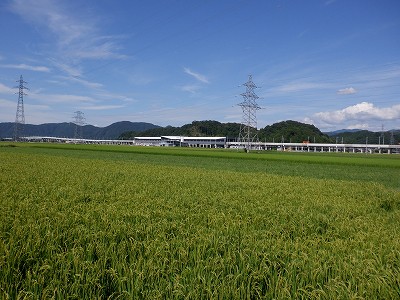 zOӉw摜