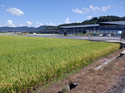 zOӉw摜