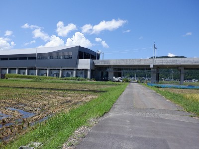 zOӉw摜