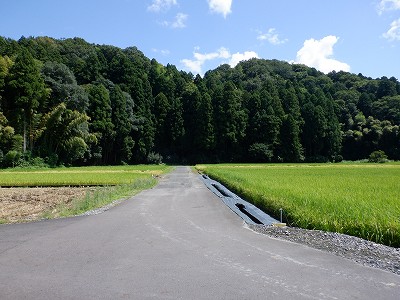 zOӉw摜