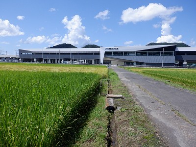 zOӉw摜
