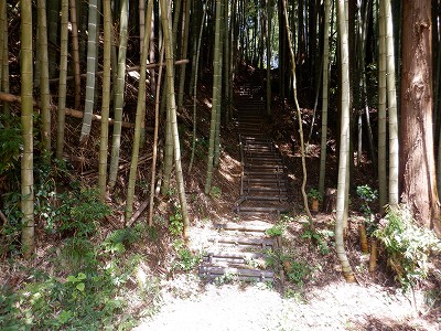 zOӉw摜