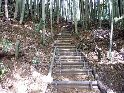 zOӉw摜