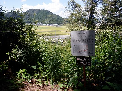 zOӉw摜
