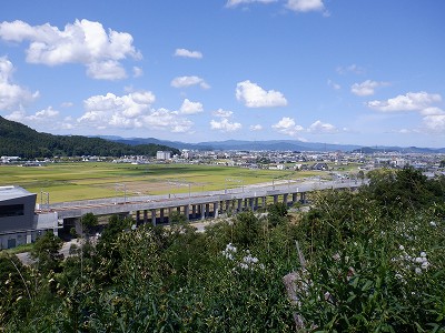 zOӉw摜
