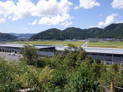 zOӉw摜