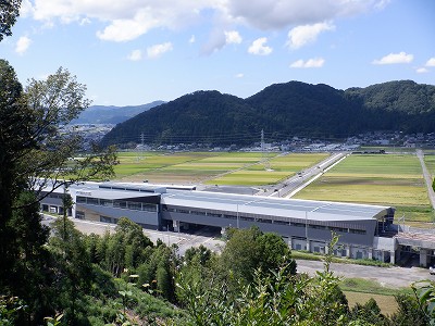 zOӉw摜