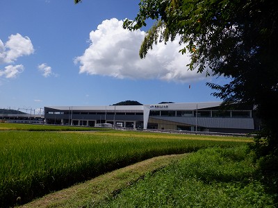 zOӉw摜