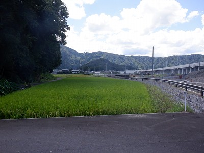 zOӉw摜