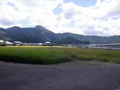 zOӉw摜