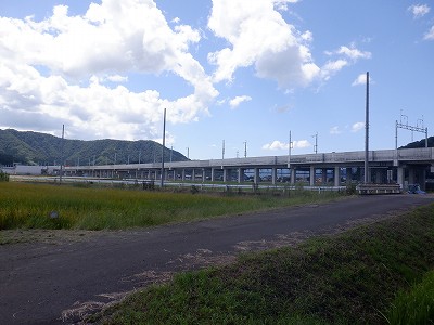 zOӉw摜