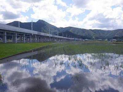 zOӉw摜