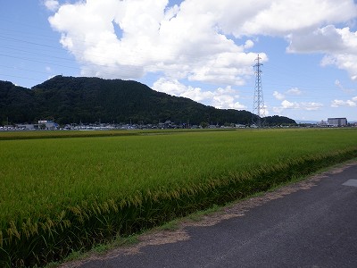 zOӉw摜