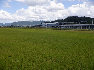zOӉw摜