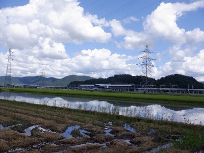 zOӉw摜