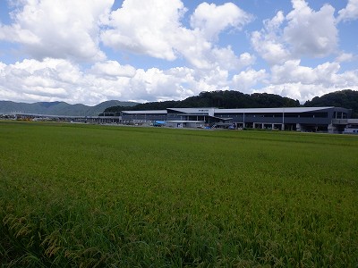 zOӉw摜