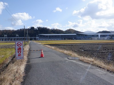 zOӉw摜