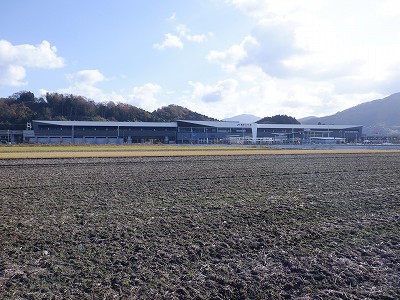 zOӉw摜