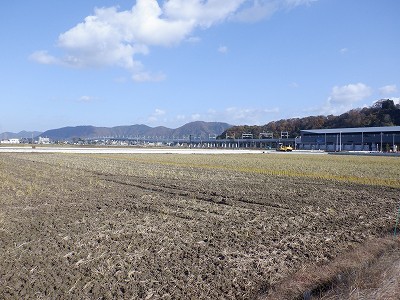 zOӉw摜