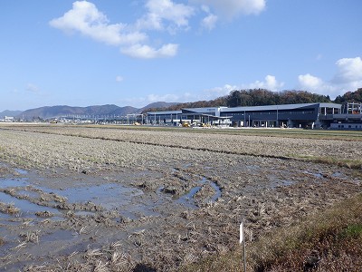 zOӉw摜