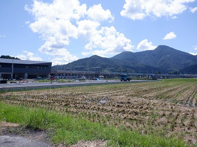 zOӉw摜