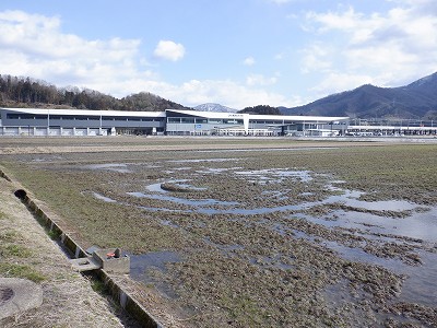 zOӉw摜