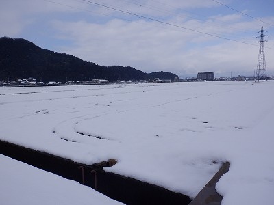 �z�O�����Ӊw�摜